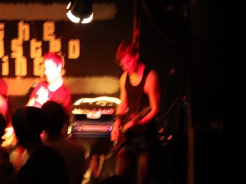 IMG_0297 [1024x768].resized.jpg